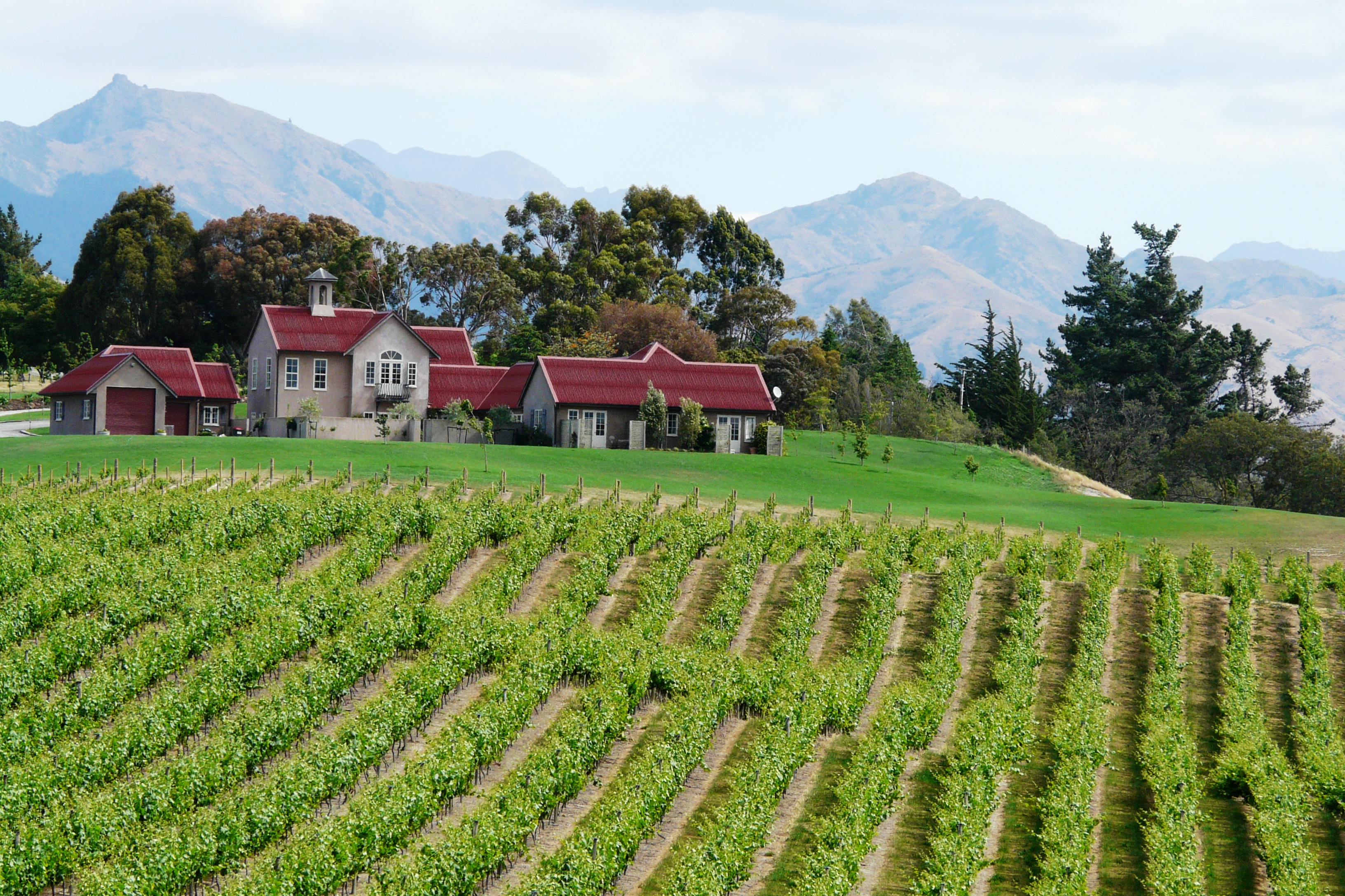 À la santé des vignobles et des brasseries